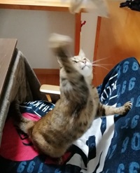 uOʐ^