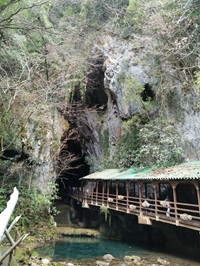 �u���O�ʐ^