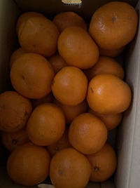 �u���O�ʐ^