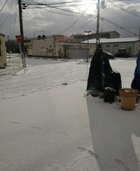 �u���O�ʐ^