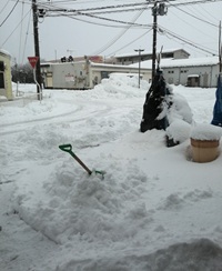 �u���O�ʐ^