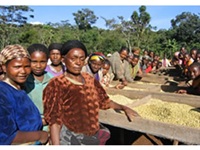 �u���O�ʐ^